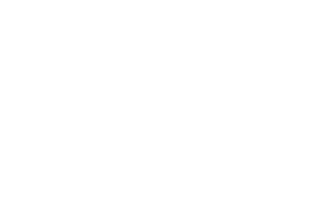 MSG CORPORATION